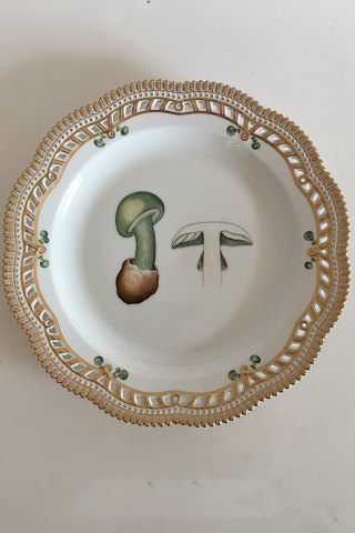 Royal Copenhagen Flora Danica/Fungi Stor gennembrudt Spisetallerken No 381 gammelt nummer 3574