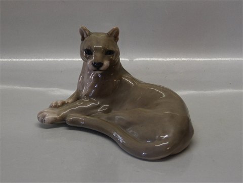 Royal Copenhagen figurine 1482 RC Mountain Lion 11 x 19 cm Peter Herold 1913