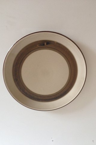 Bing & Grøndahl Stentøjsstel Peru dækketallerken/kagefad No 304