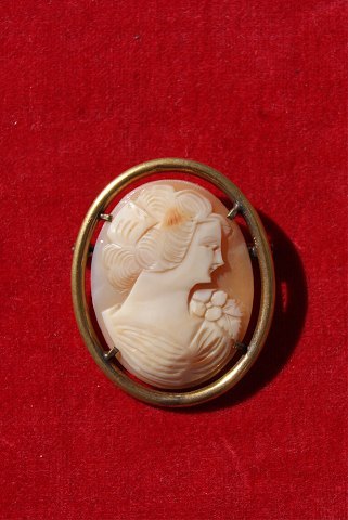 vare nr: sm-Camé broche