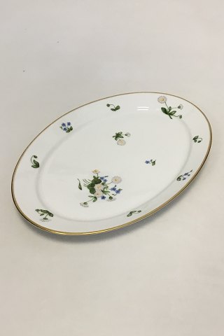 Royal Copenhagen Daisy and Coltsfoot Oval Dish No 9009