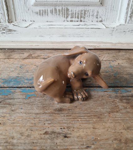 Royal Copenhagen figure Dachshund puppy no 1407 - early edition 1898-1923