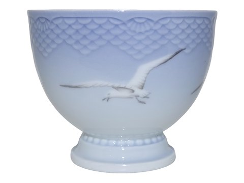 Måge uden guldkant
Sjælden skylleskål