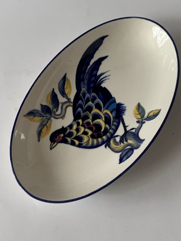 Blue Pheasant   ( Bl ...