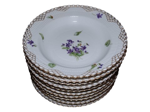 Blue Viols Full Lace