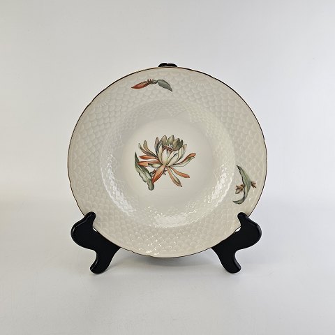 B&G tallerken
23
Kaktus
21,5 cm