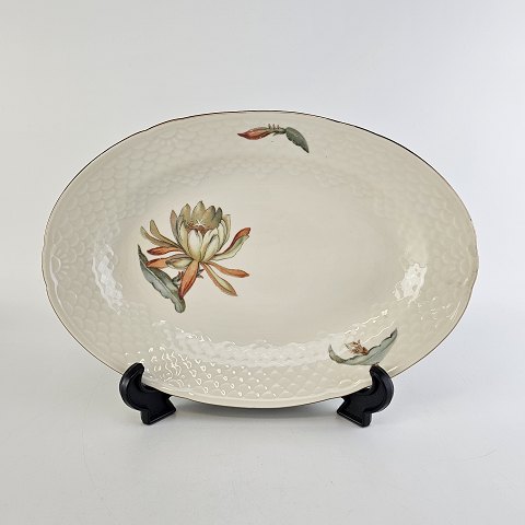 B&G ovalt fad
18
Kaktus
25 cm