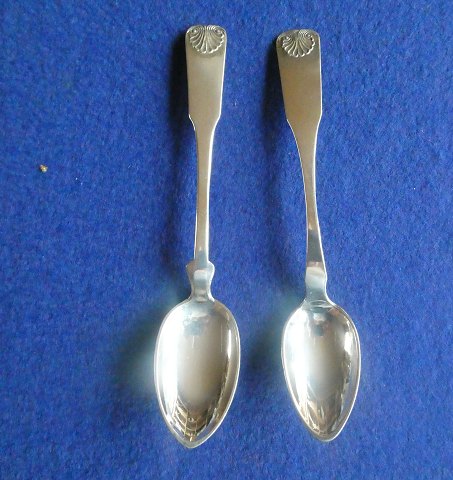 Mussel (Musling) solid ...