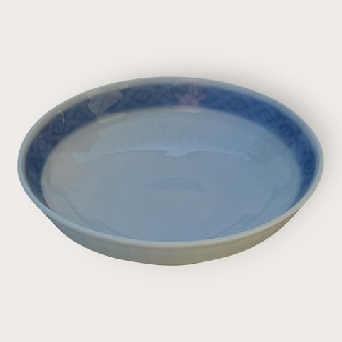 Royal C: Bl� Vifte