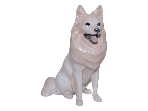 Hunde<br>Royal ...