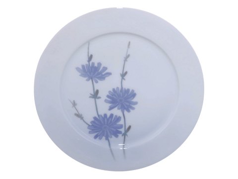 Royal CopenhagenArt Nouveau luncheon plate with blue chicory  21.5 cm.