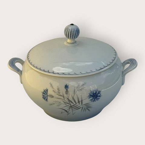 item no: 644401
