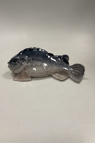 Royal Copenhagen Figur af Fisk - Stenbider No. 460