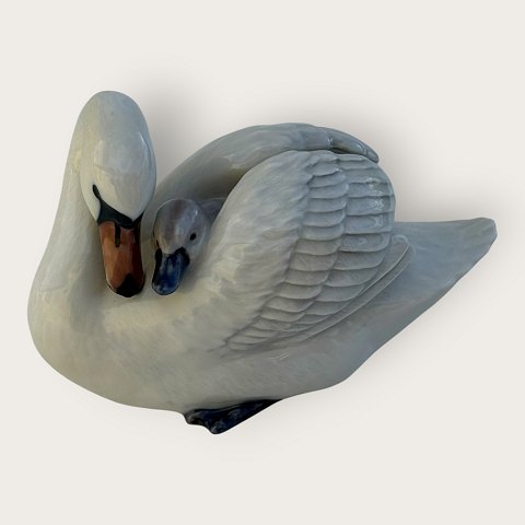 item no: 648429