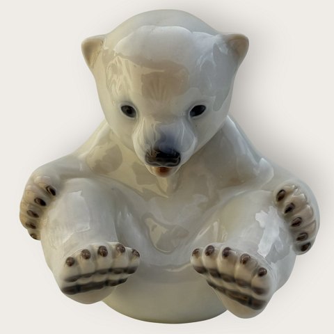 item no: 648432