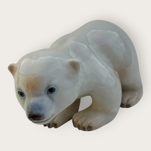 item no: 648433
