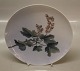 Royal Copenhagen decorative plates with flower 1120 Pre 1923