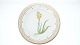 Royal Copenhagen Flora Danica, Breakfast plateDek.nr. 20 / # 3550Motif: Anthericum Ossifragum L.