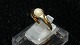 Ladies ring with pearl in 14 carat GoldSize 60
