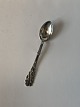 Salt spoon Kelp SilverwareCohr SilverLength 7.5 cm.