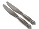 Hans Christian Andersen Fairy Tale silverplateChildren's knife