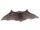 Royal Copenhagen tray
Bat