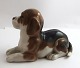 Royal Copenhagen. Porcelain figure. Lying Beagle. Model 565 (2565). Length 16 
cm. (1 quality)