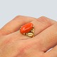 Antik Damgaard-Lauritsen presents: A coral ring in 14k gold