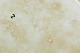 sub: 3