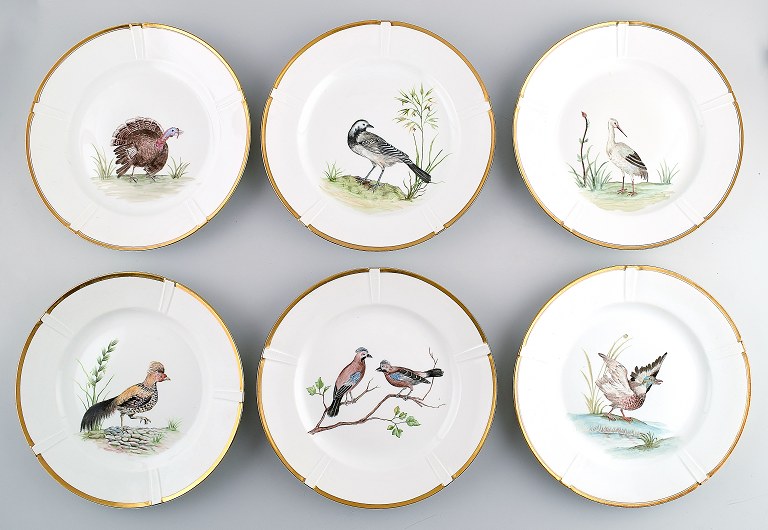 6 B&G, Bing & Grondahl hand painted plates with bird motifs.