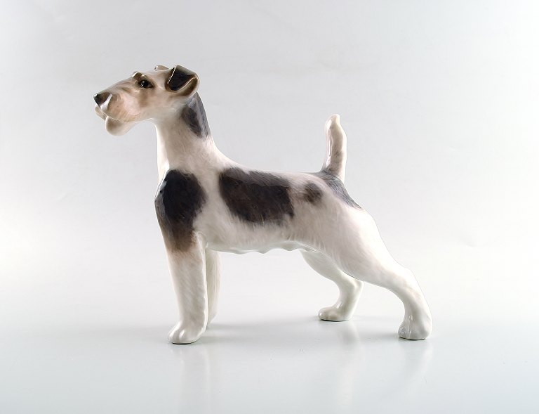 Royal Copenhagen hundefigur, ruhåret terrier.Dekorationsnummer 2967.