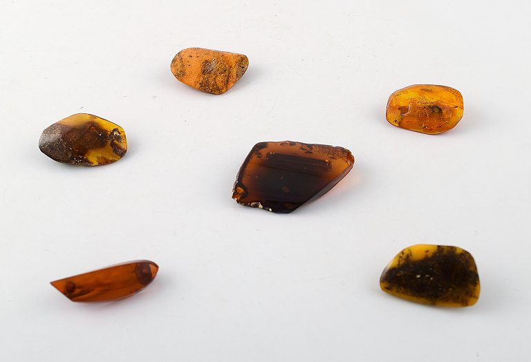 6 amber brooches in different sizes, milk amber and darker amber.