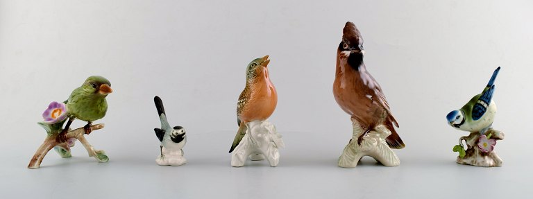 Goebel, Tyskland. Fem fugle, håndmalet.