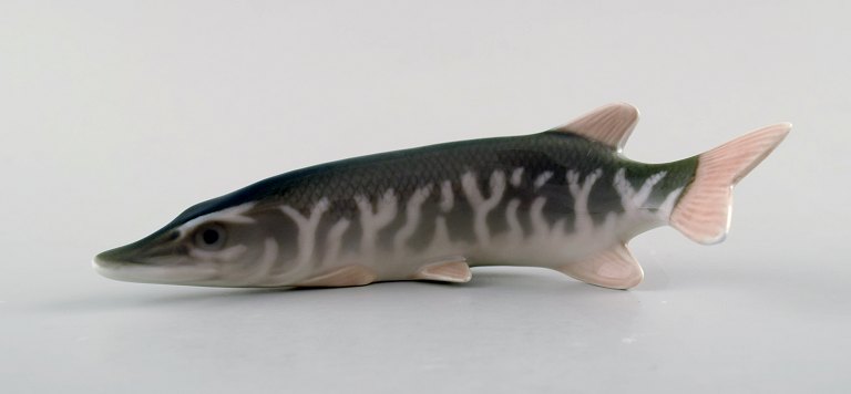 Royal Copenhagen Number 2427 Pike.