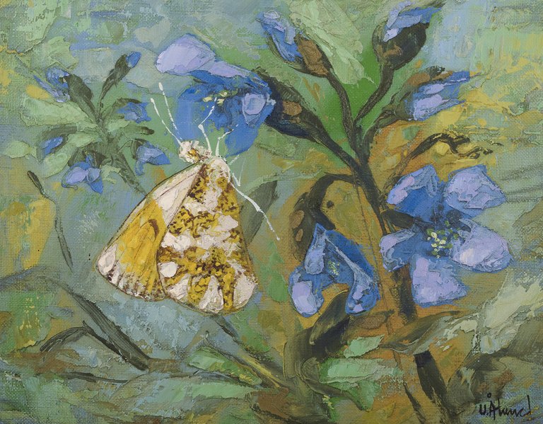 Ulf Ålund (f 1948), svensk kunstner, olie på lærred.Aurorasommerfugl i blomsterlandskab.