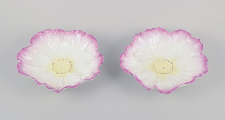 Two French Art Nouveau bowls in faience.Floral motif. Hand-painted in yellow and pink.