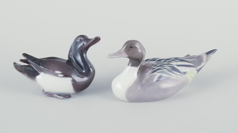 Bing og Grøndahl og Royal Copenhagen, to ænder af porcelæn.