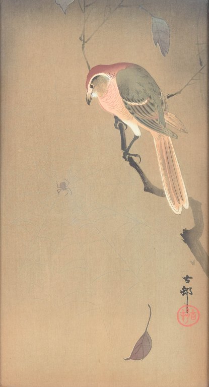 Ohara Koson (1877–1945), Fuglen og edderkoppen.
Japan