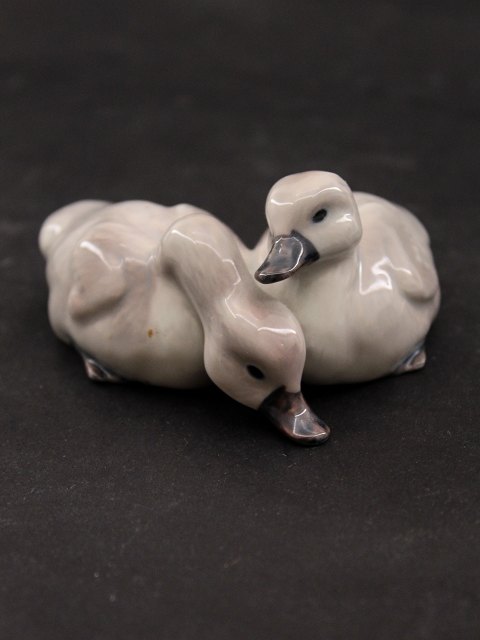 Royal Copenhagen Swan chicks 363